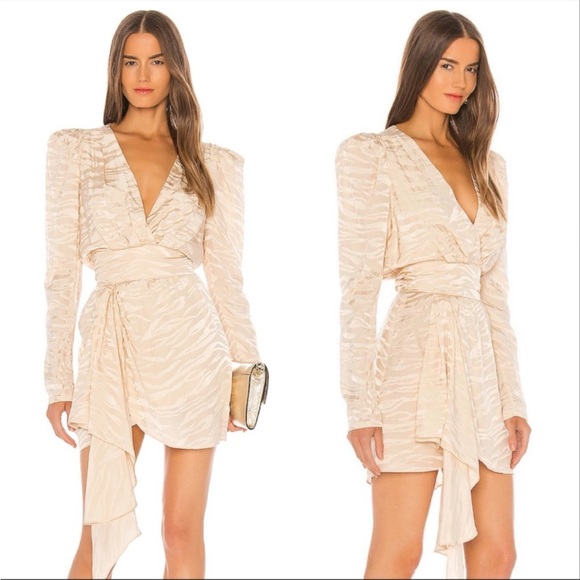 Ronny Kobo Collection Dresses & Skirts - Ronny Kobo XS Lillian Silk Zebra Print Mini Dress Tapioca Cream